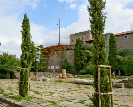 MBA79_1207.jpg