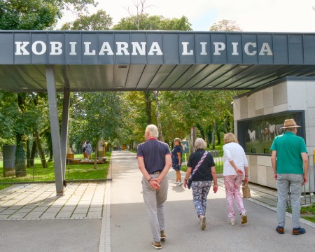 MBA79_1236.jpg