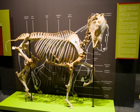 MBA79_1246.jpg